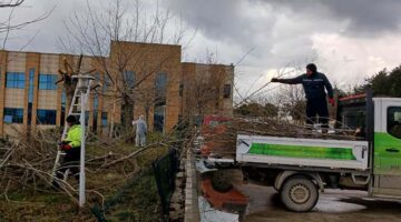 Dilovası Devlet Hastanesi’nde Ağaç Budama ve Çevre Düzenlemesi Yapıldı